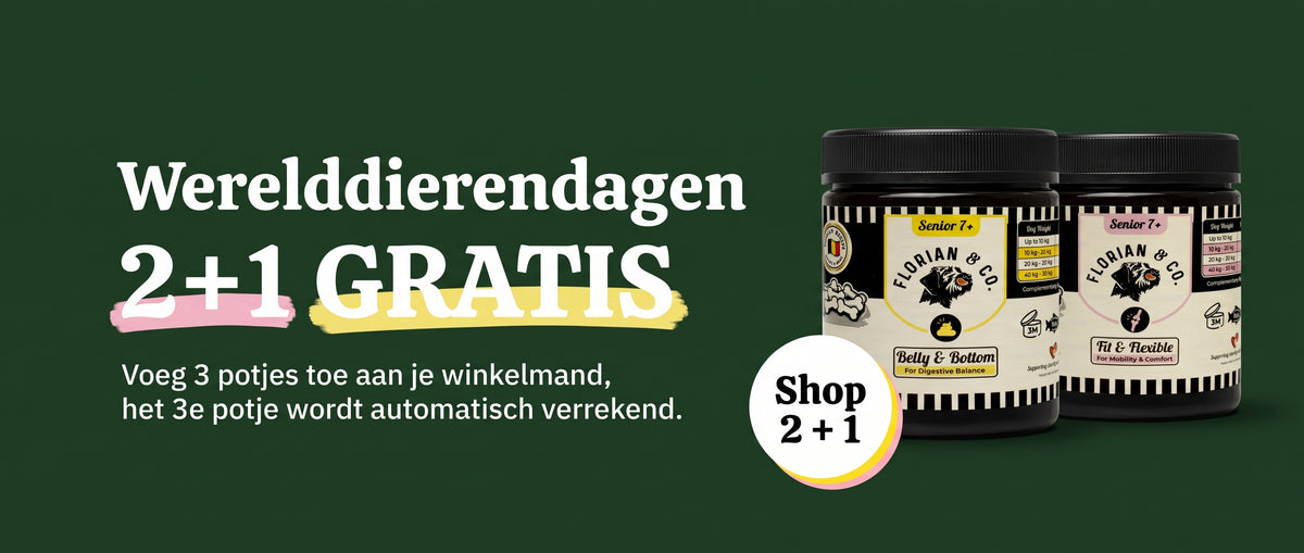 Promotie