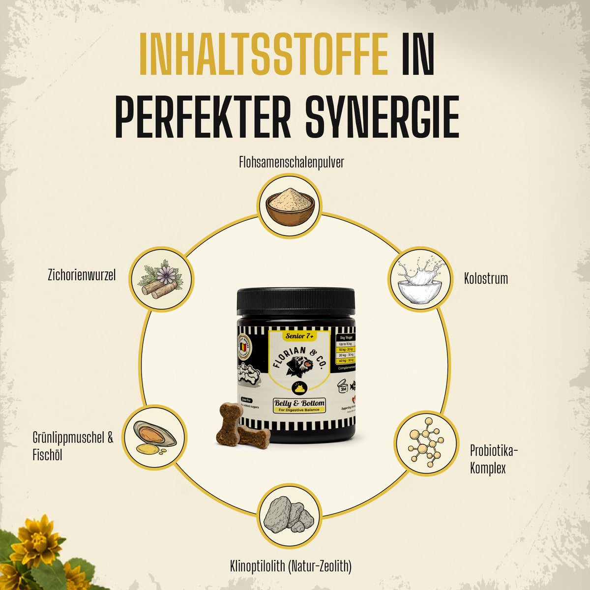 Zutaten in perfekter Synergie