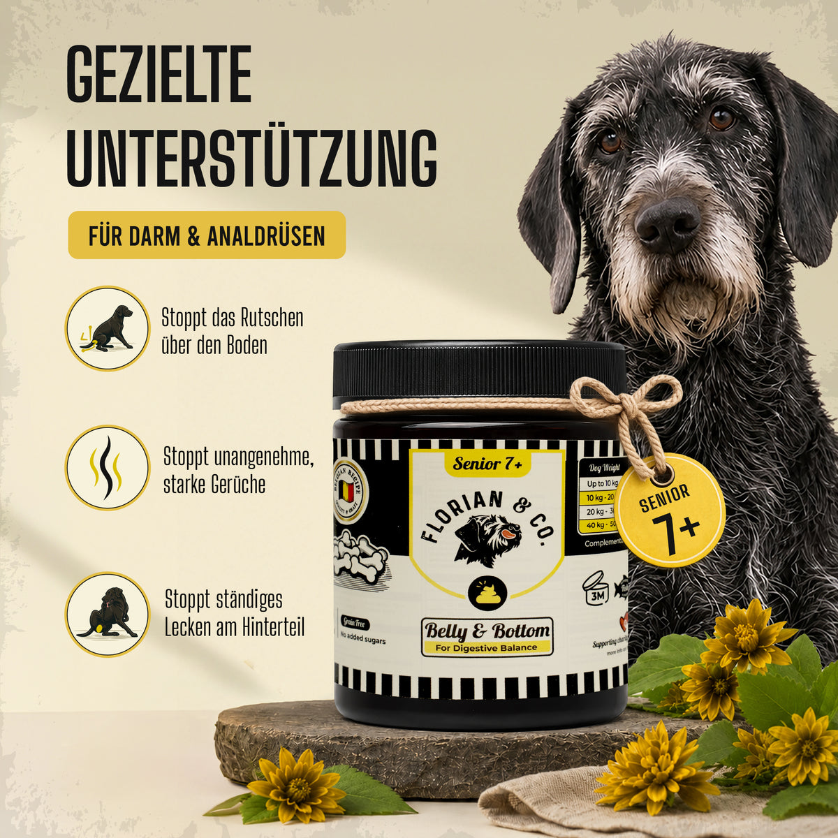 Gezielte Unterstützung beim Schlittenfahren