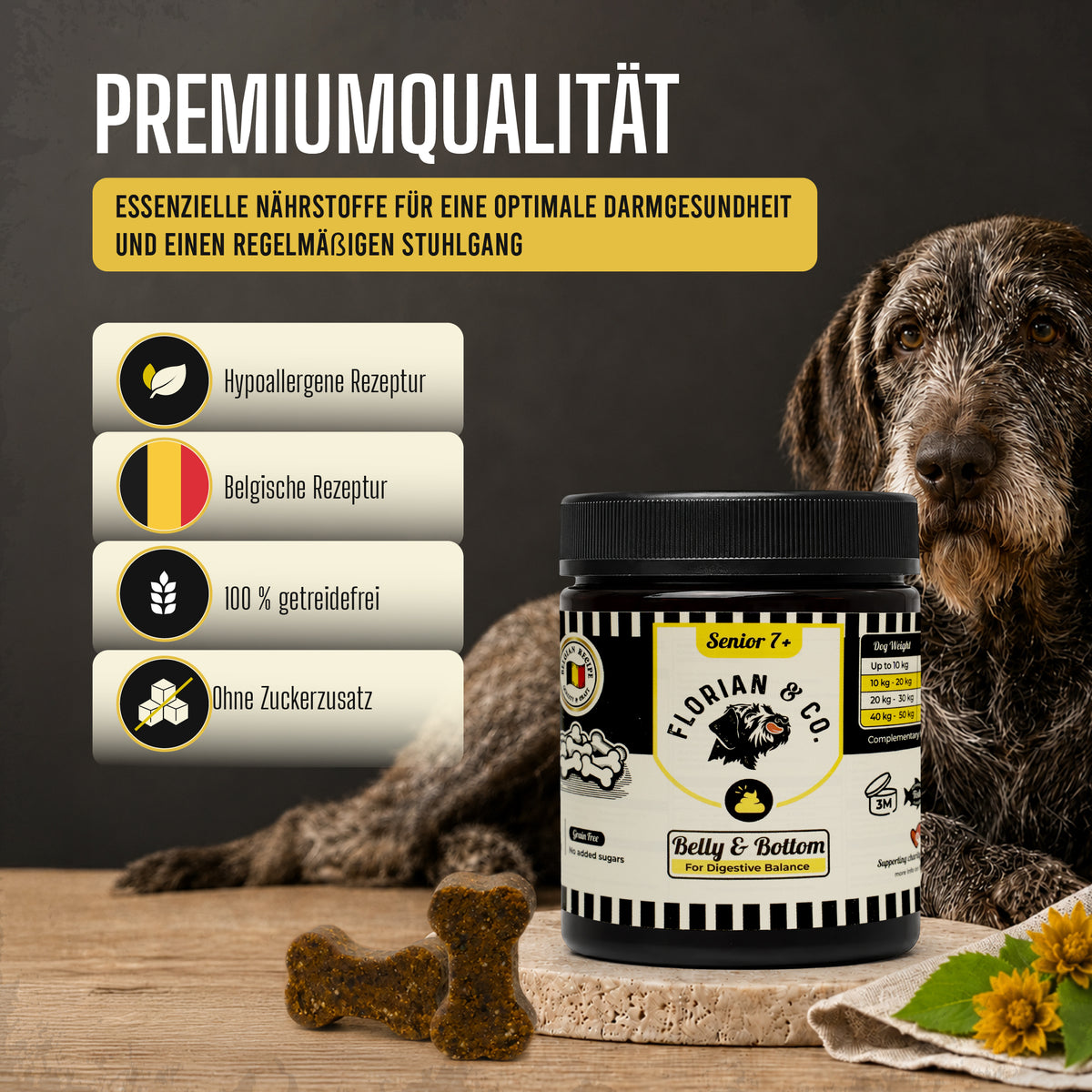 Bausteine für einen gesunden Darm und Stuhlgang