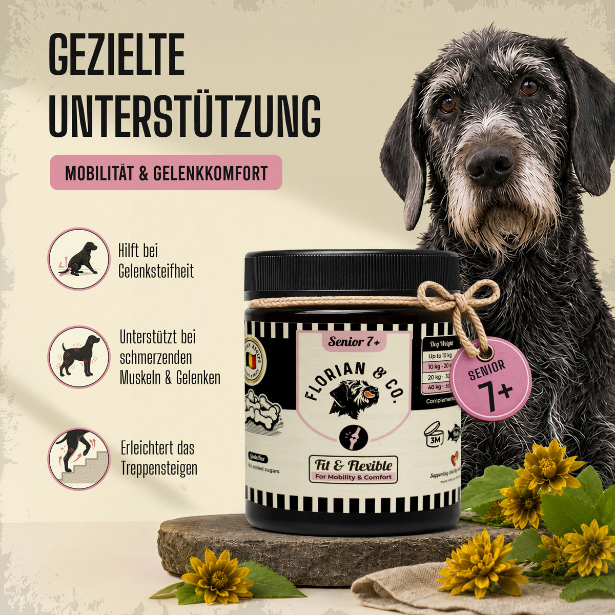 Gezielte Unterstützung für steife Gelenke