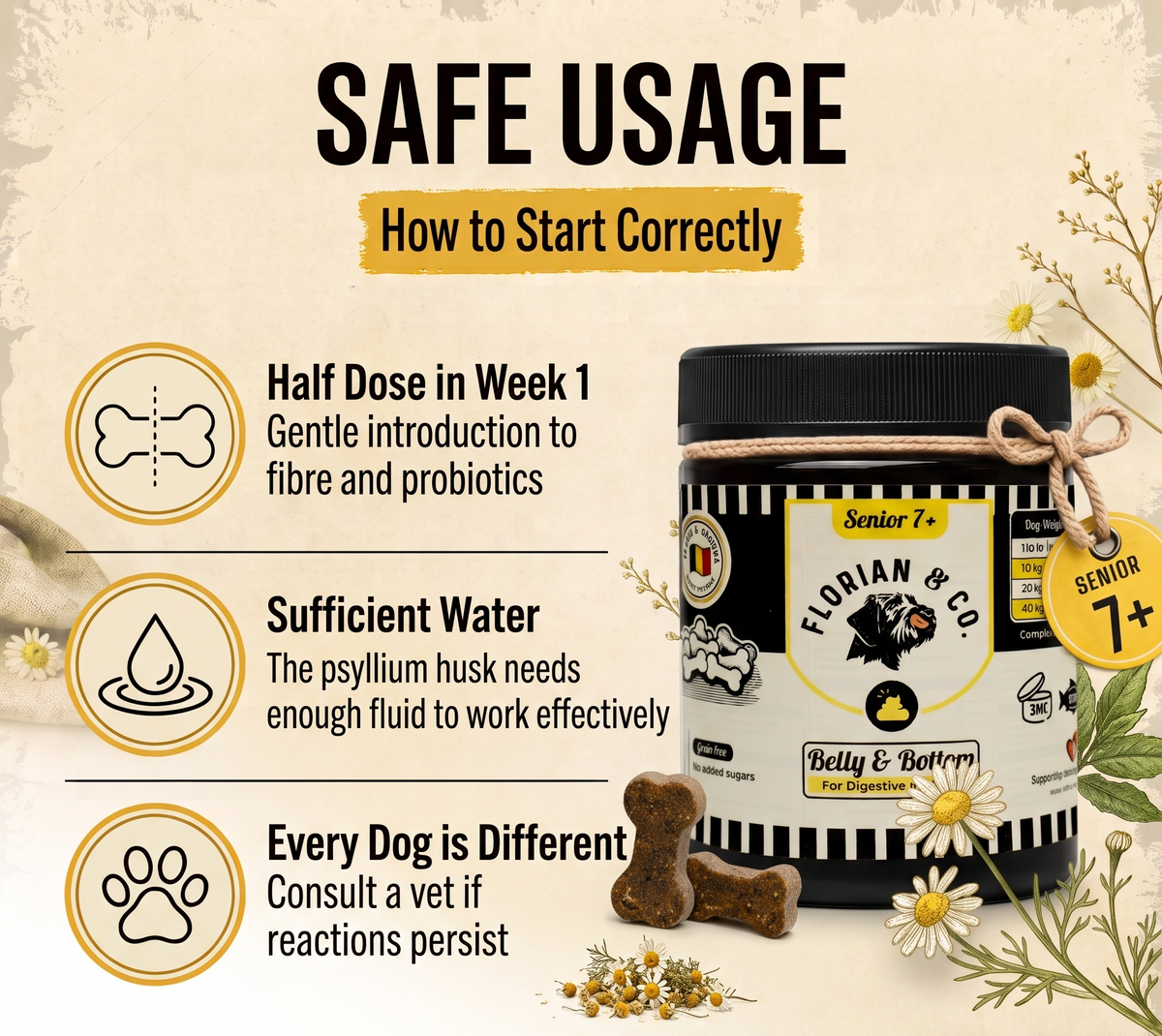 How to help your dog get used to it
