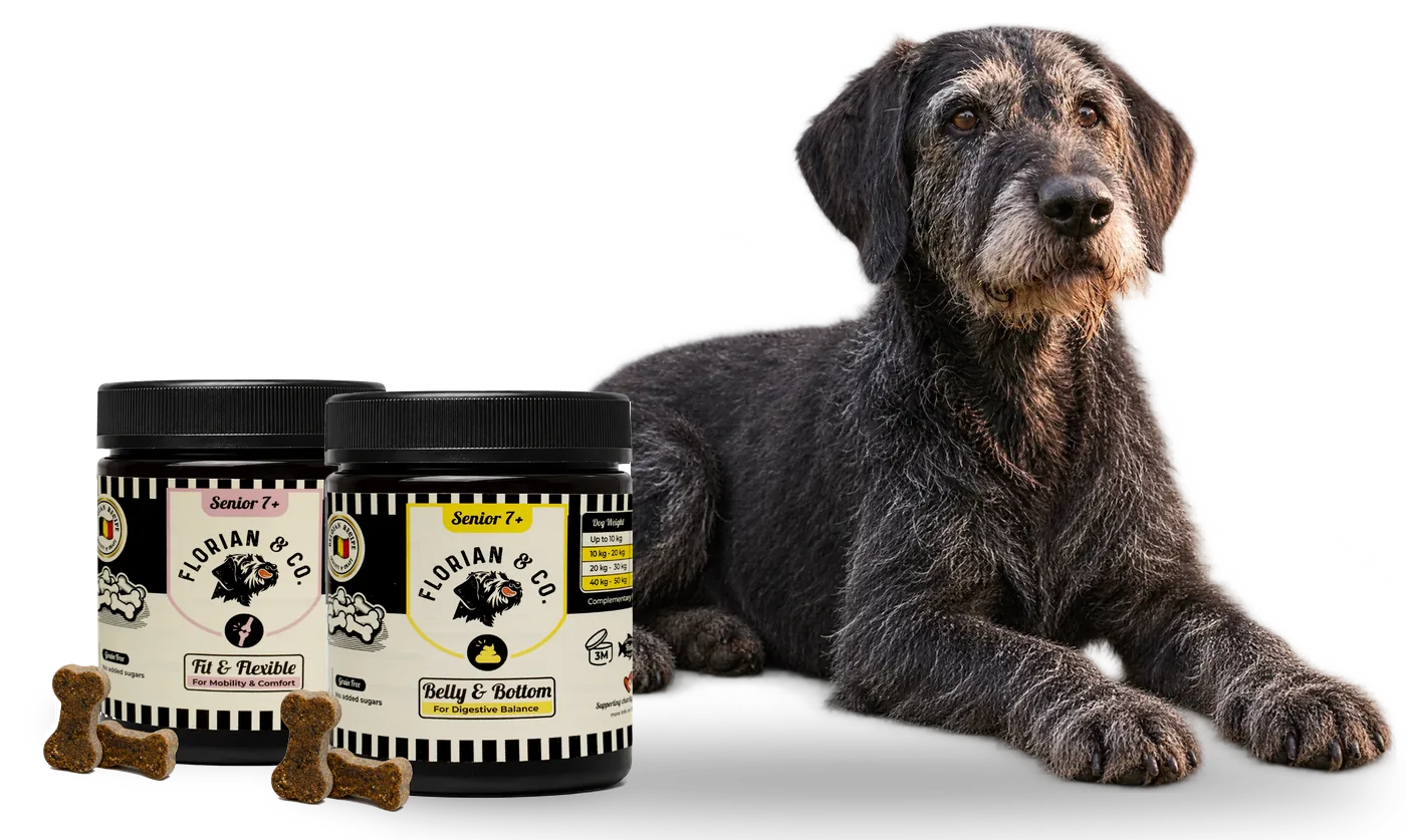 Fit & Flexible en Belly & Bottom, supplementen voor senior honden